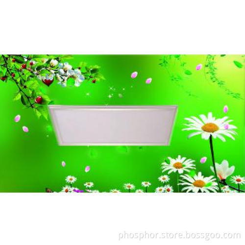 300*600 Ultra Slim Ceiling Light Panels /LED ceiling lamp manufacturer